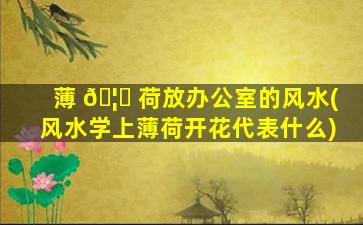 薄 🦊 荷放办公室的风水(风水学上薄荷开花代表什么)